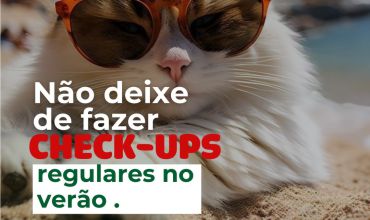 Cuidado com animais no verão