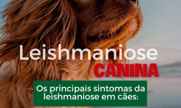 Leishmaniose