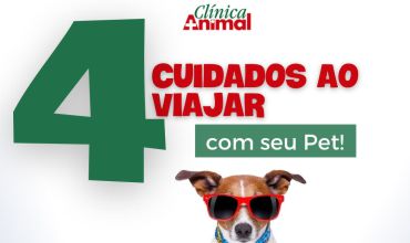 Viajar com Pet